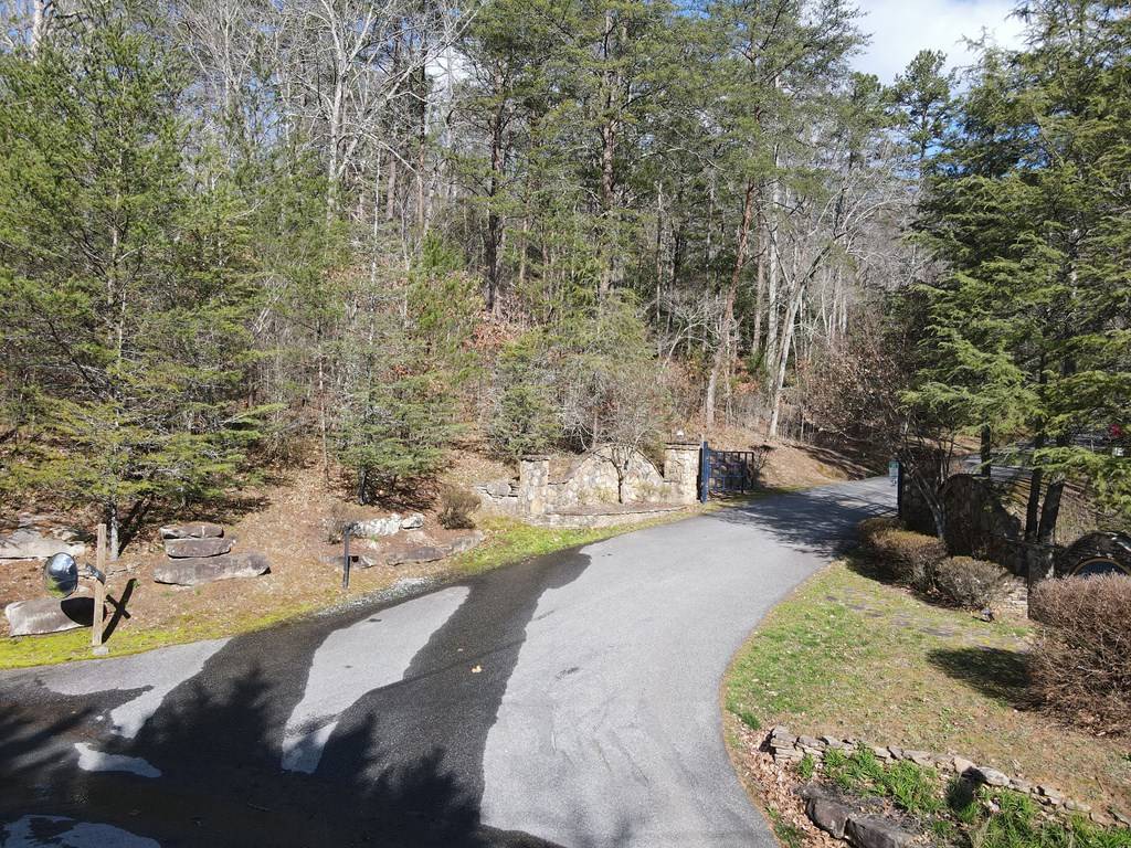 Morganton, GA 30560,LOT 1 Spring Ridge Drive