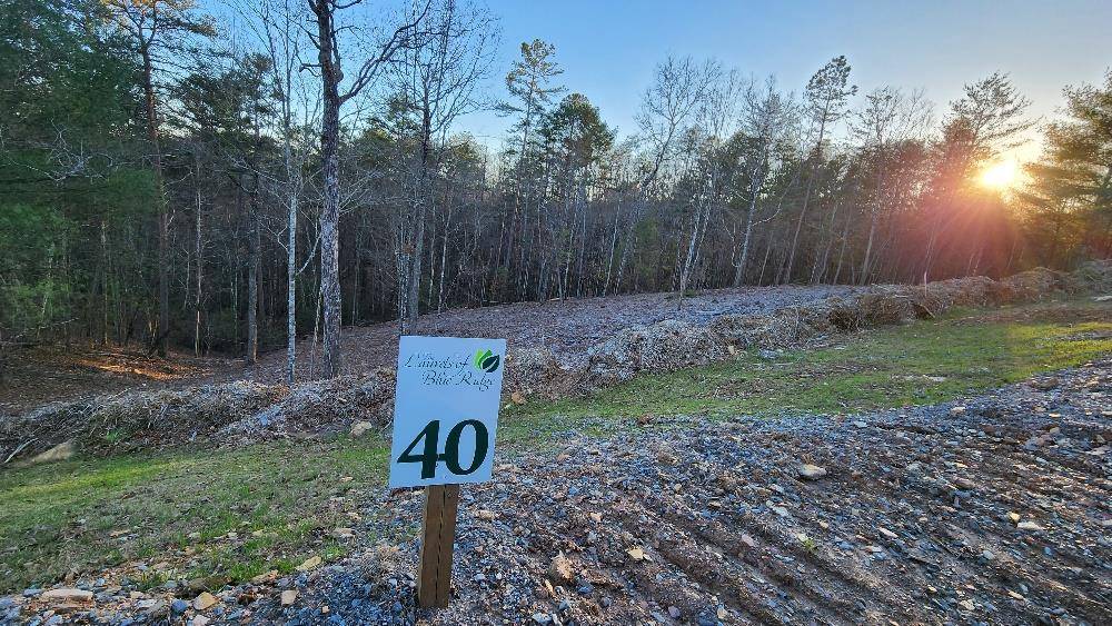 Mineral Bluff, GA 30559,Lot 40 Mountain Laurel Ridge