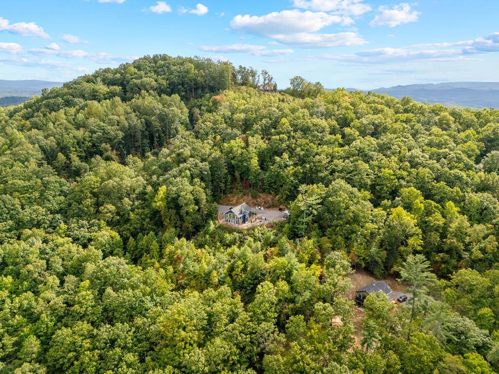 Mineral Bluff, GA 30559,890 Hickory Drive