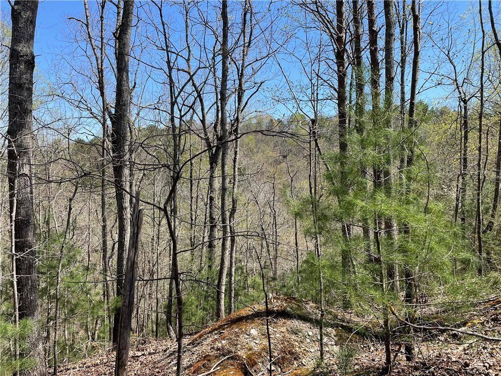 Ranger, GA 30734,1672 Hunter Drive