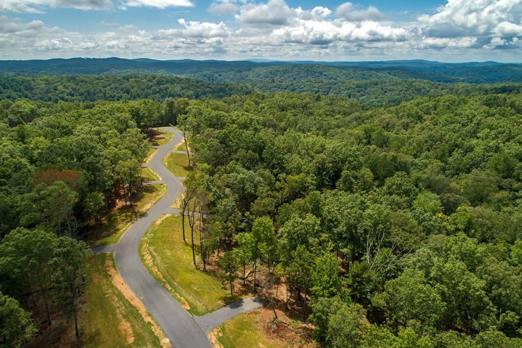 Ellijay, GA 30540,75 River Overlook Drive