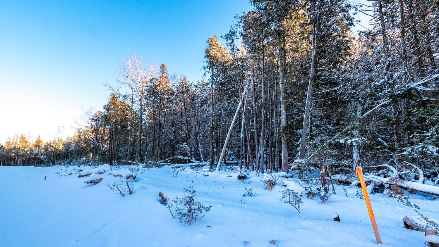 Northern Bruce Peninsula, ON N0H 1W0,LOT 5 TRILLIUM CROSSING N/A