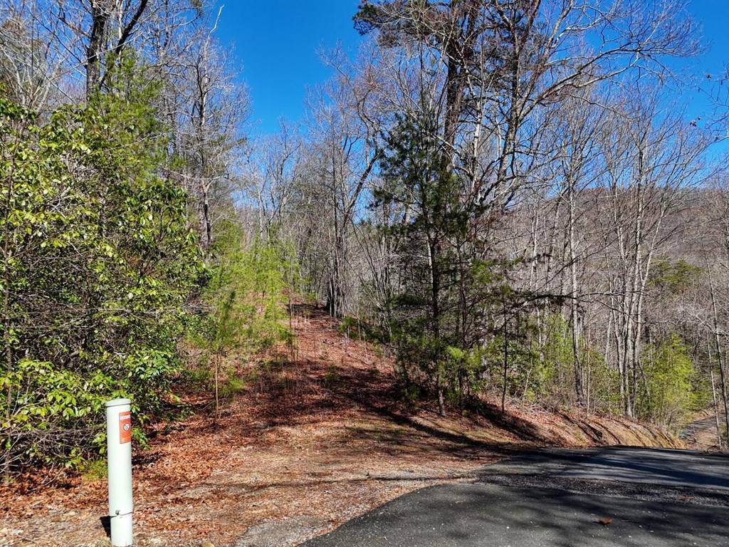 Hayesville, NC 28904,LT24 Mission Ridge Court