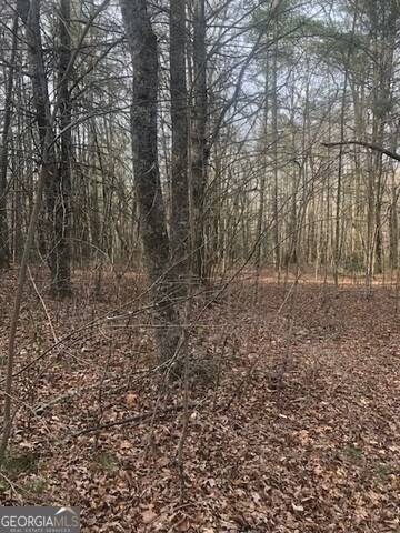 Ellijay, GA 30540,Lot 22 East Ridge Lane