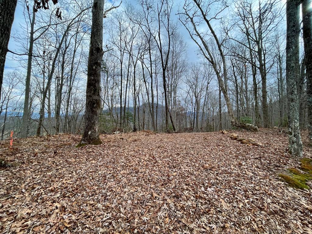 Hayesville, NC 28904,#114 Eagles View