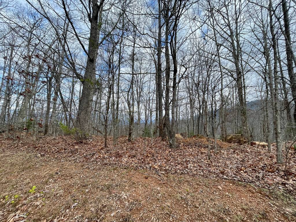 Hayesville, NC 28904,#114 Eagles View