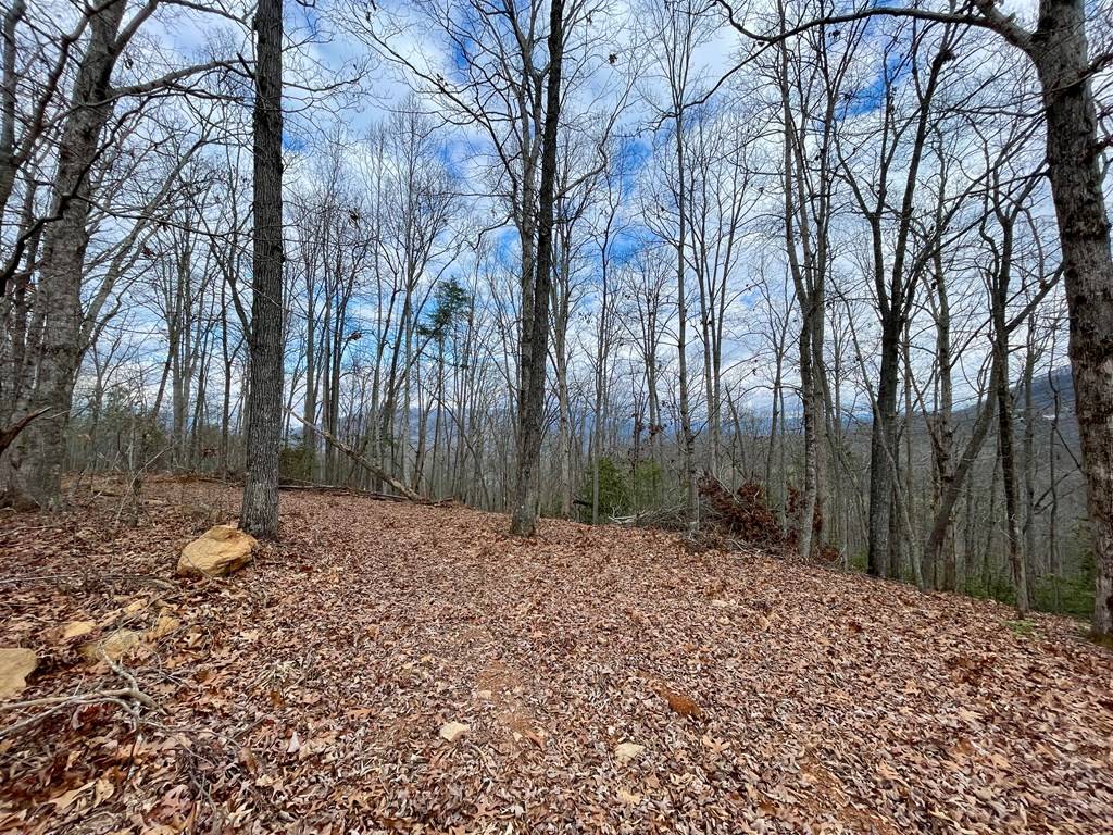 Hayesville, NC 28904,#114 Eagles View