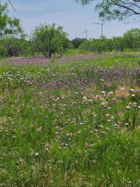 Cisco, TX 76437,TBD County Road 423