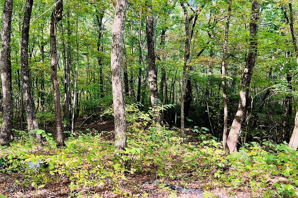 Ellijay, GA 30536,Lot 162 Trailwood Drive