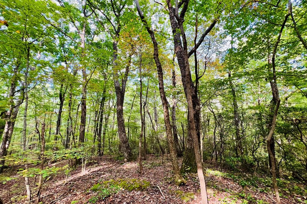 Ellijay, GA 30536,Lot 162 Trailwood Drive