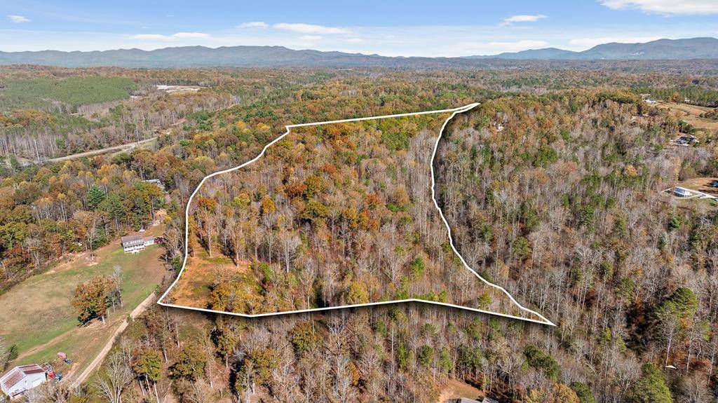 Ellijay, GA 30540,0 Red Plum Drive