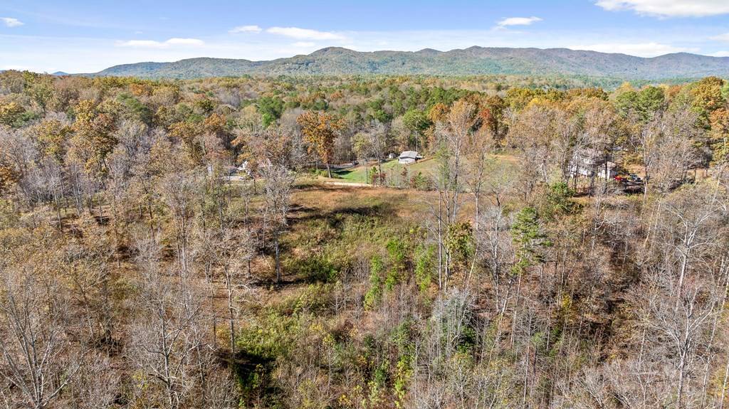 Ellijay, GA 30540,0 Red Plum Drive