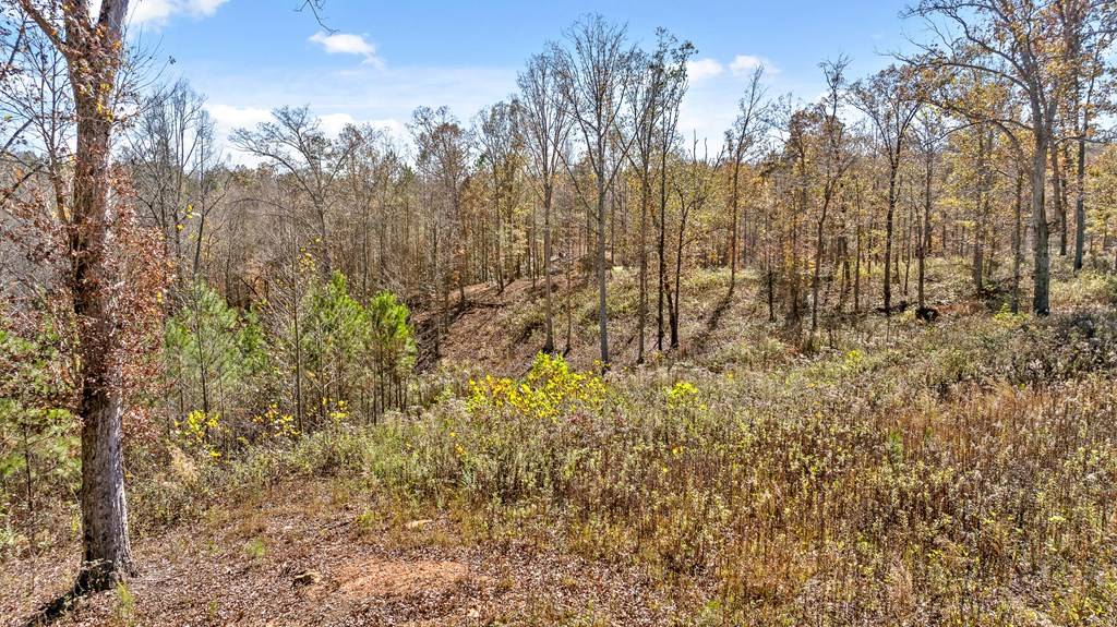 Ellijay, GA 30540,0 Red Plum Drive