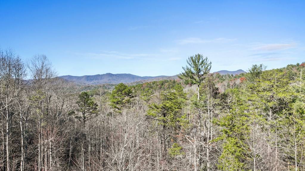 Mineral Bluff, GA 30559,220 Mountain High Drive