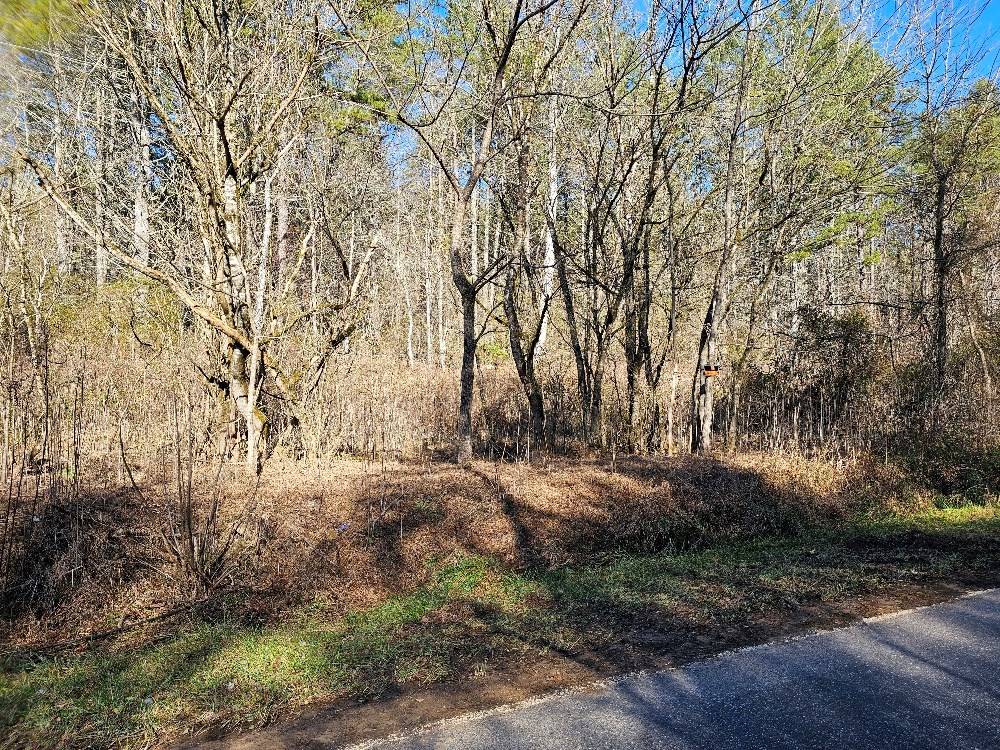 Murphy, NC 28906,2.0 ac Floyd Stalcup Road