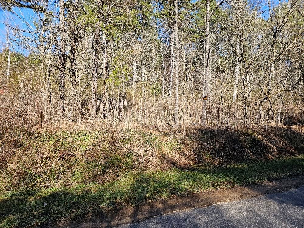 Murphy, NC 28906,2.0 ac Floyd Stalcup Road