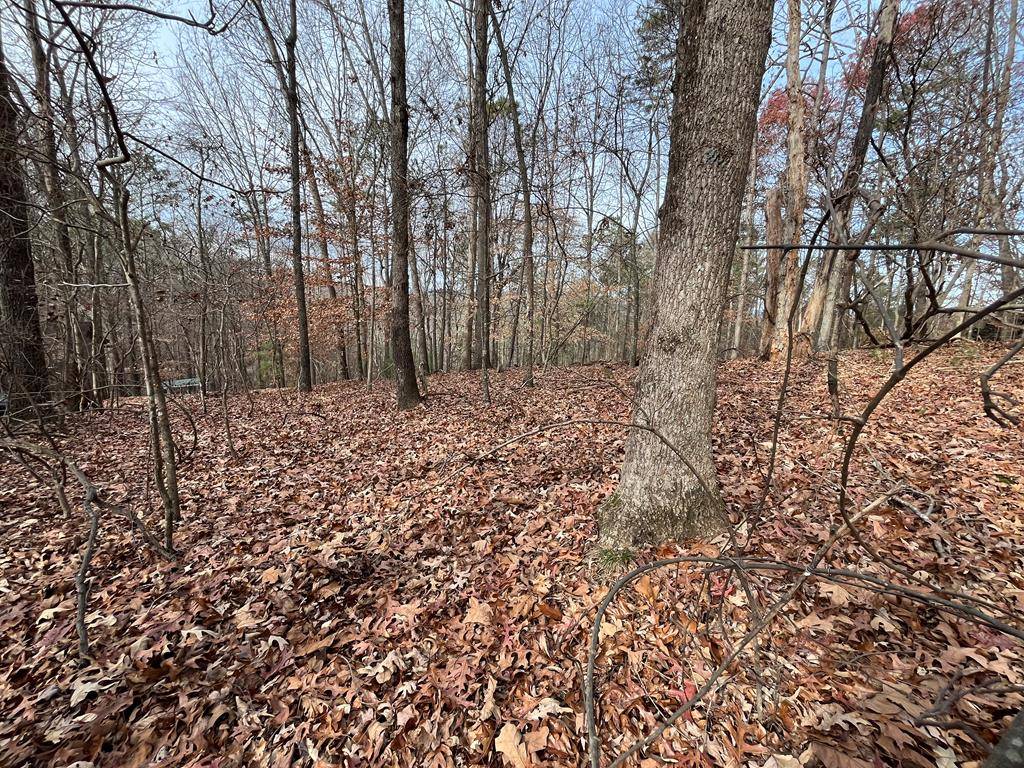 Ellijay, GA 30540,LOT 240 Crestview Drive S