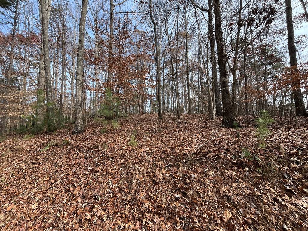 Ellijay, GA 30540,LOT 240 Crestview Drive S