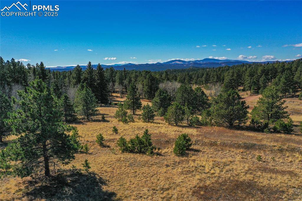 Florissant, CO 80816,2756 County Road 421