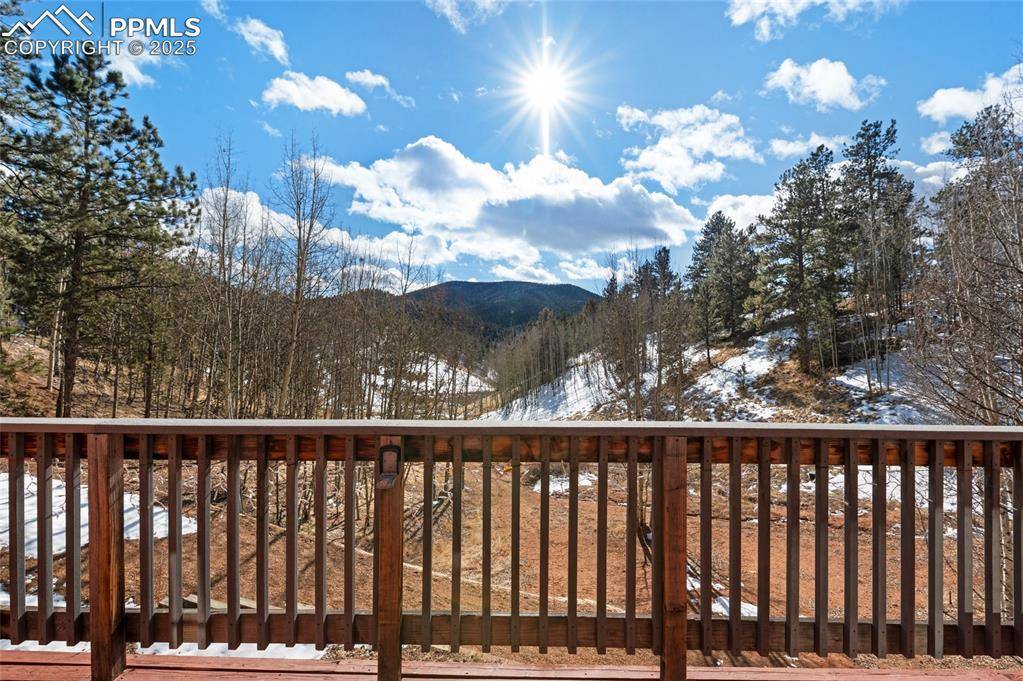 Divide, CO 80814,176 Pikes Peak DR