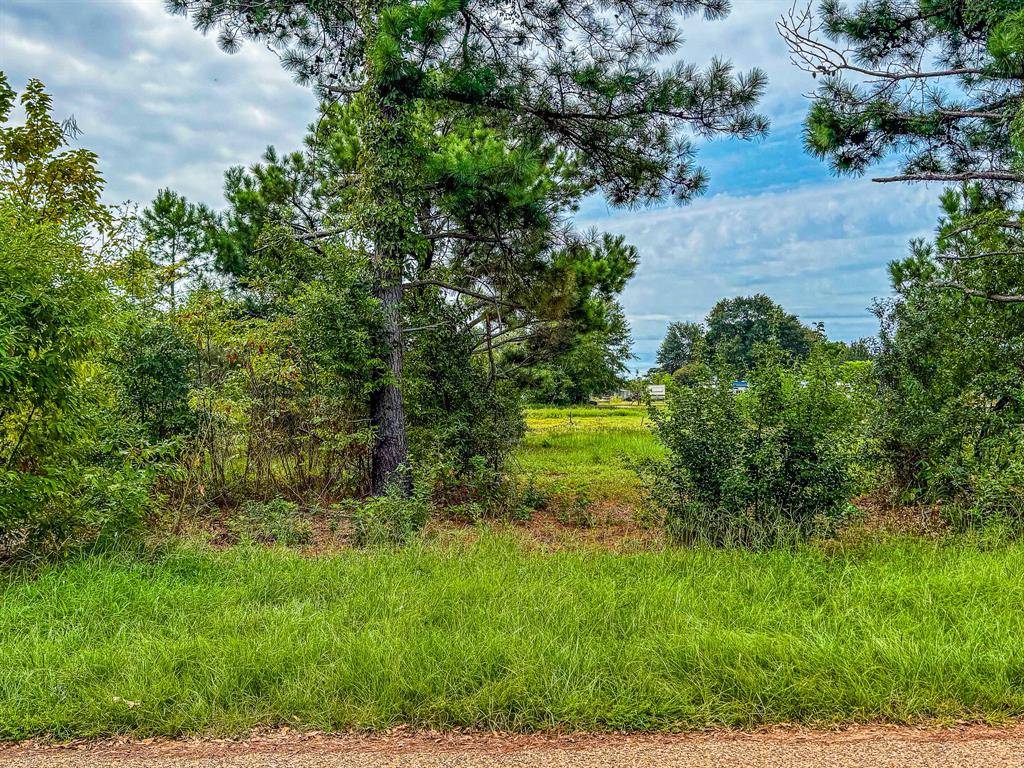 Chandler, TX 75758,Lot 82 Circle Drive