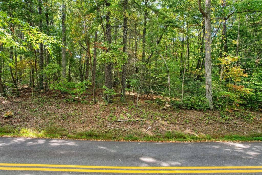 Blairsville, GA 30512,Lot 11 Lakemont