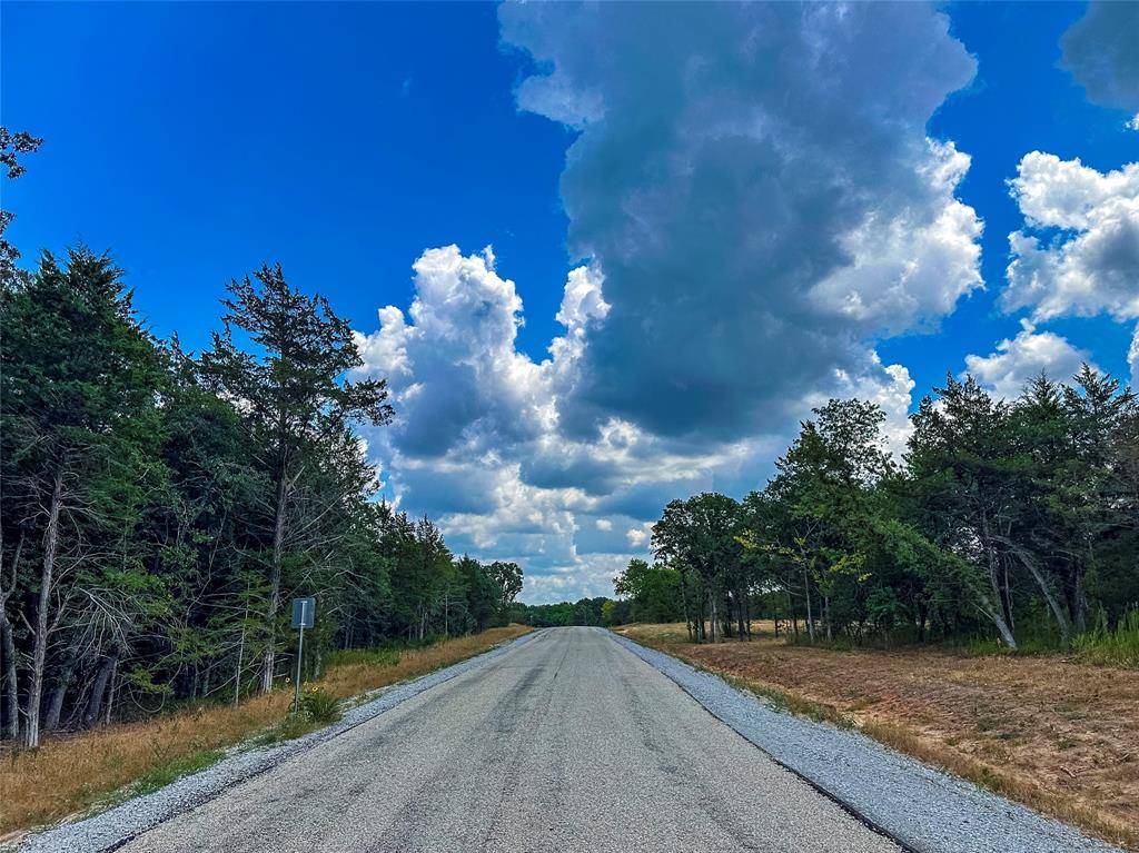 Decatur, TX 76234,Lot 17 Big Cedar Ct