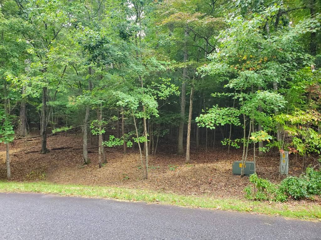 Blairsville, GA 30512,Lot 42 Arrowood Pointe