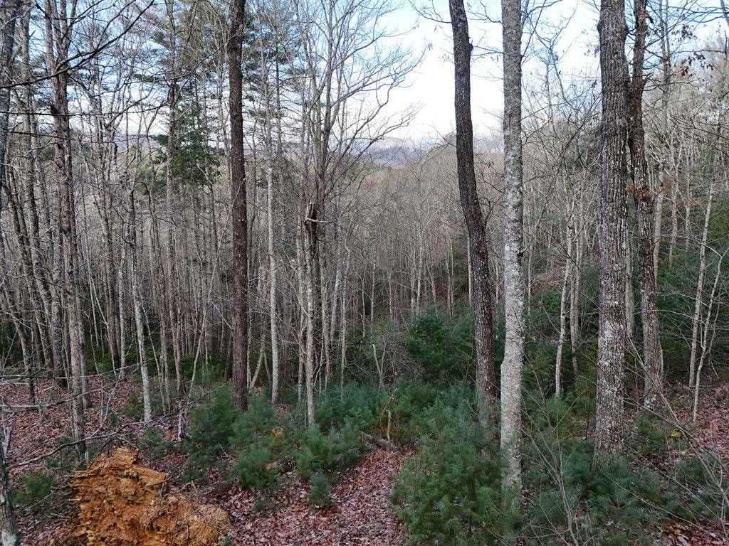 Mineral Bluff, GA 30559,Lot 46 Walker Ridge Way