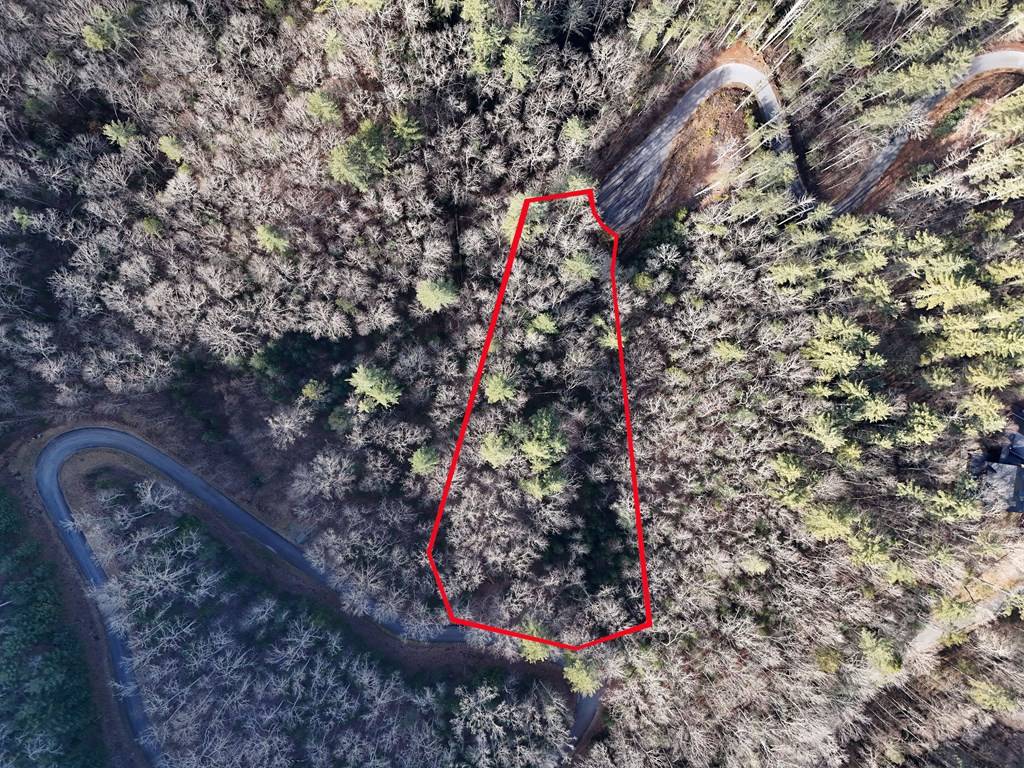 Mineral Bluff, GA 30559,Lot 46 Walker Ridge Way