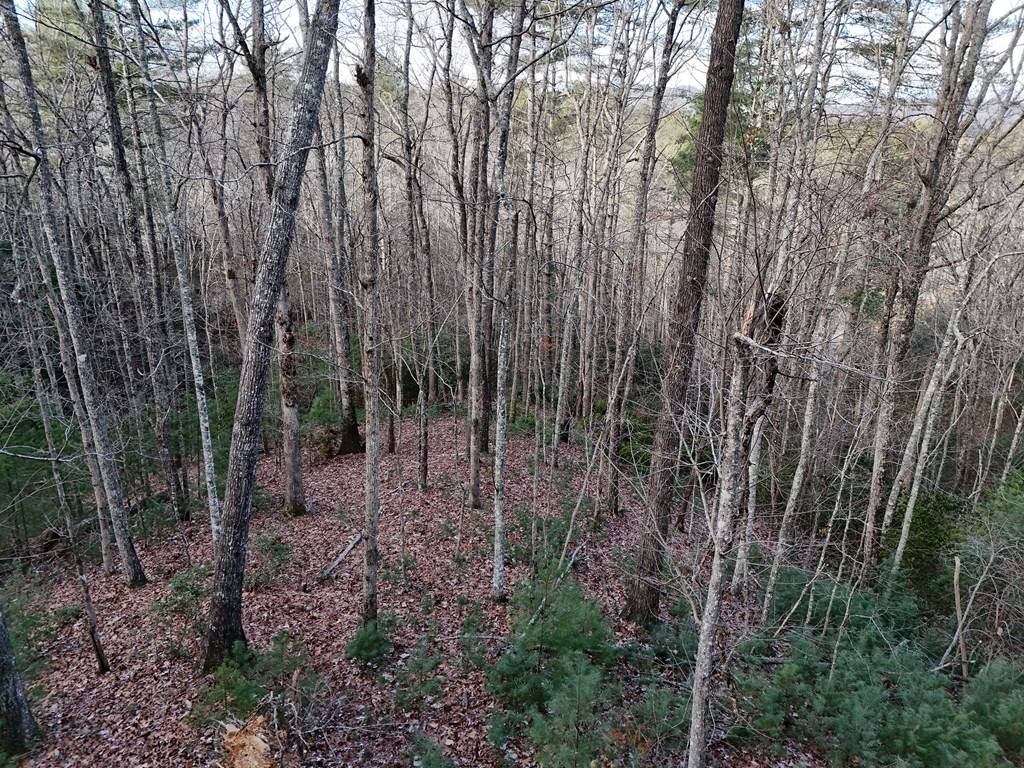 Mineral Bluff, GA 30559,Lot 46 Walker Ridge Way