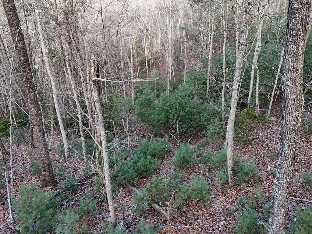 Mineral Bluff, GA 30559,Lot 46 Walker Ridge Way