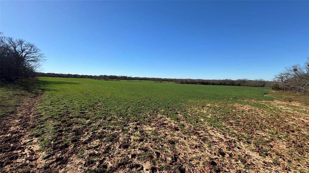 Perrin, TX 76486,tbd WHITT Road