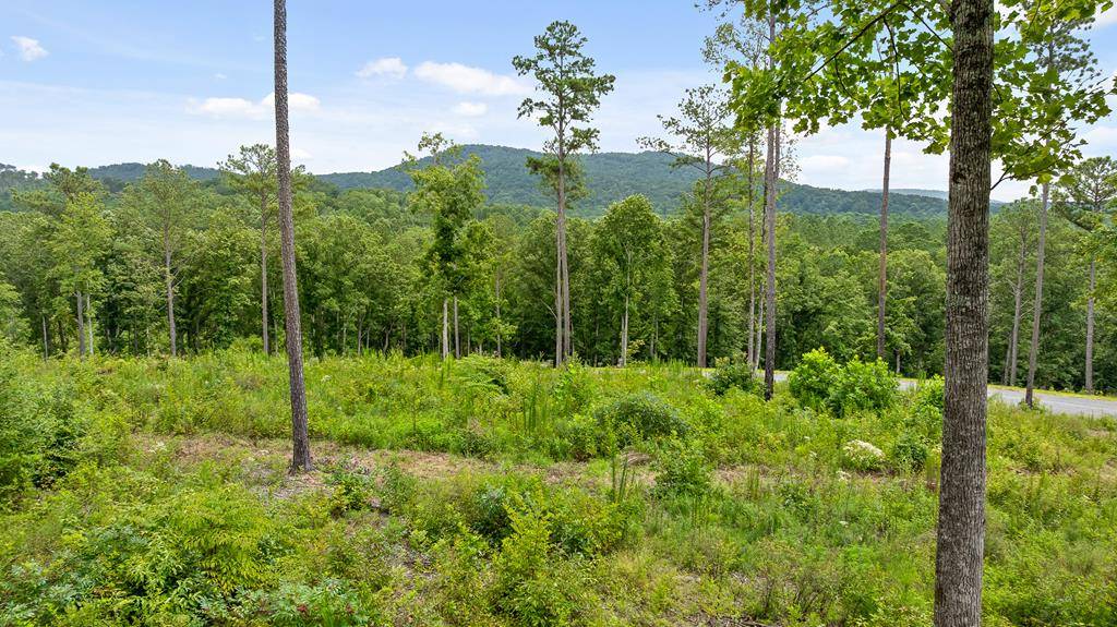 Talking Rock, GA 30175,Lot 345 Timber Creek Trail