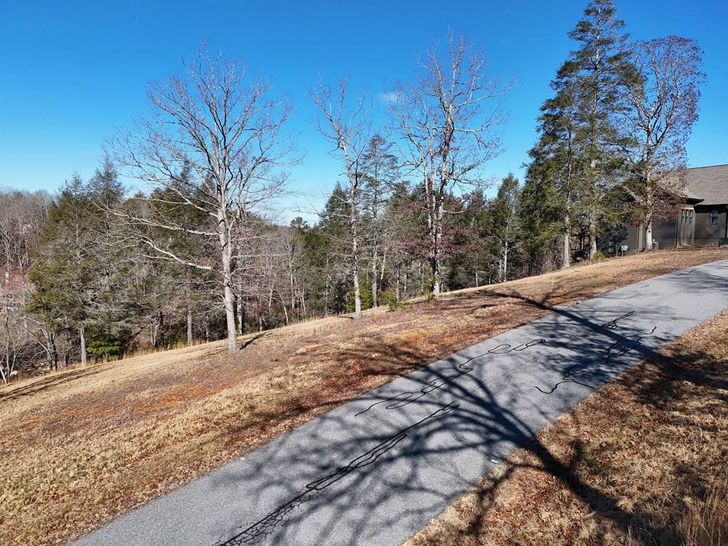 Blairsville, GA 30512,Lot 52 Madeline Way