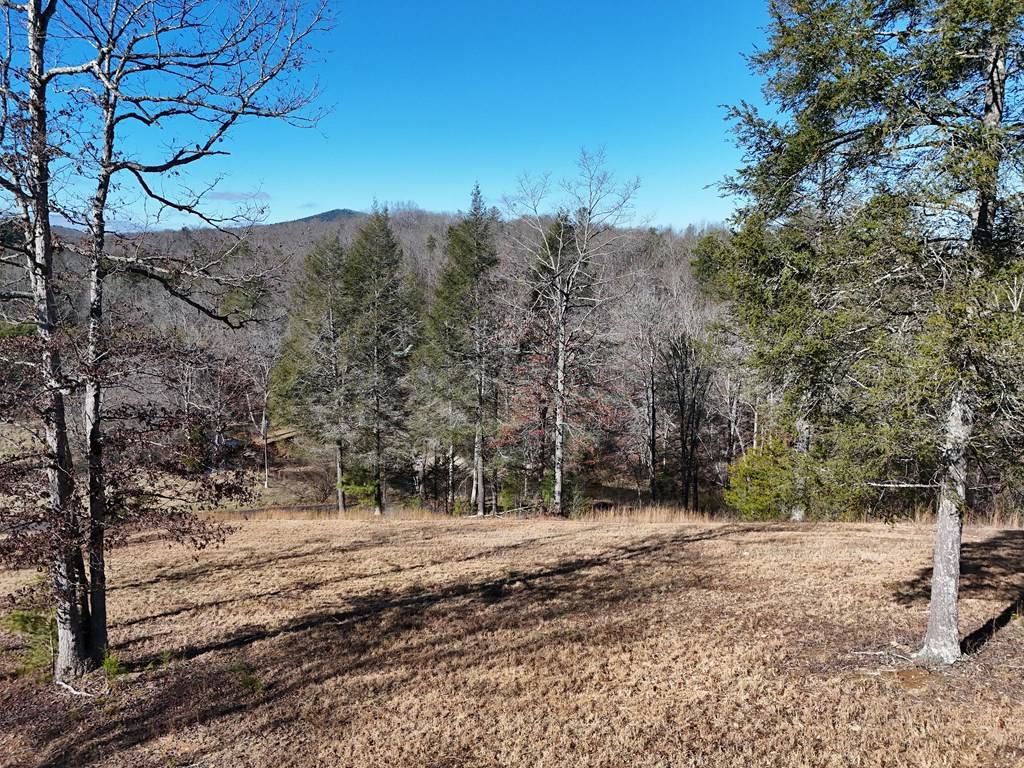 Blairsville, GA 30512,Lot 52 Madeline Way