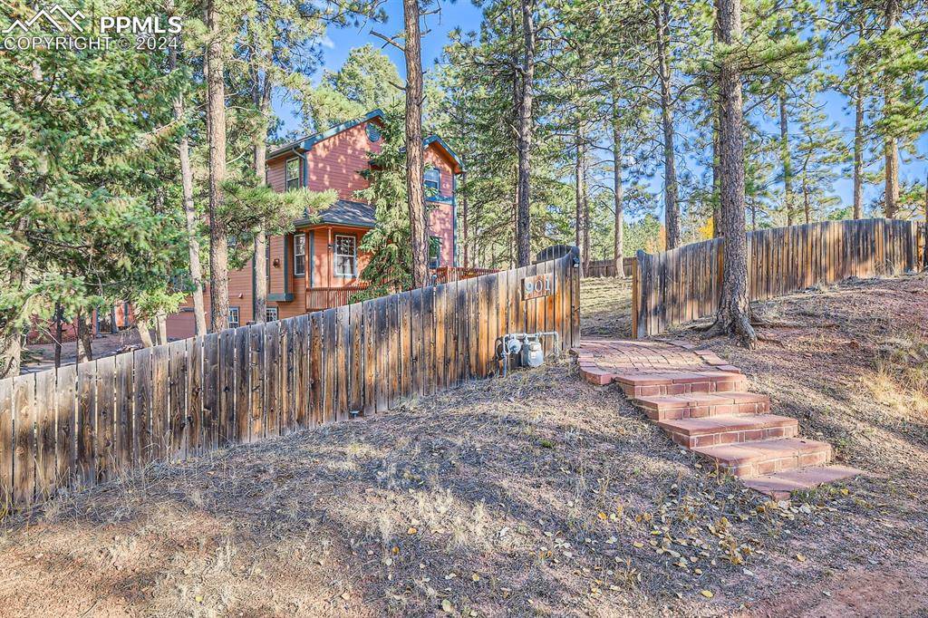 Woodland Park, CO 80863,901 Teller LN