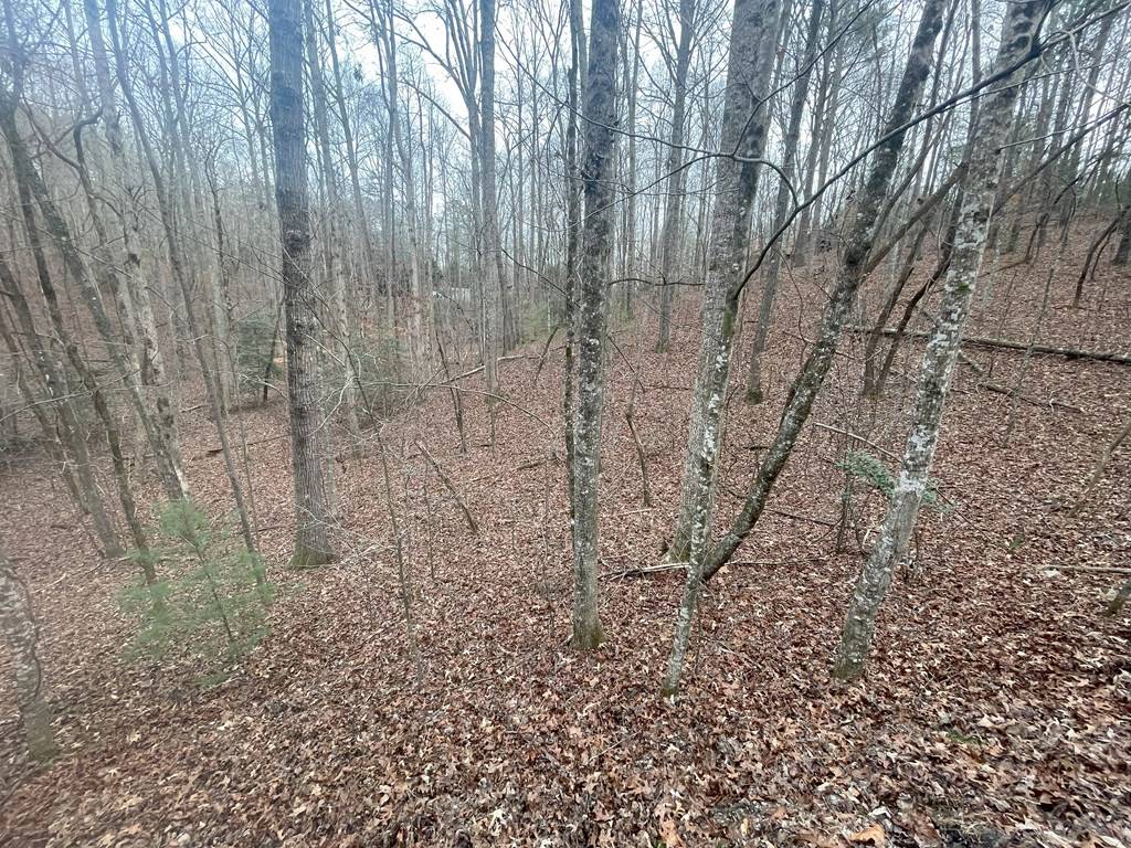 Ellijay, GA 30540,1456 Lot 1456 Pasha Dr