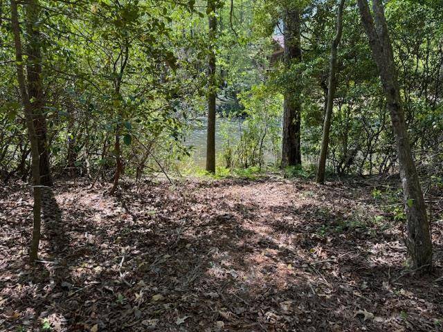 Blue Ridge, GA 30513,0.34 Ac Shallowford Bridge