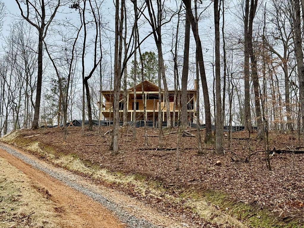 Ellijay, GA 30540,315 Pasha Drive