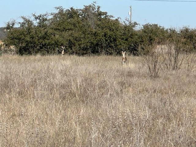 Graford, TX 76449,1036 Lake Shore Loop