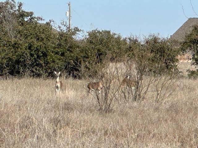 Graford, TX 76449,1036 Lake Shore Loop