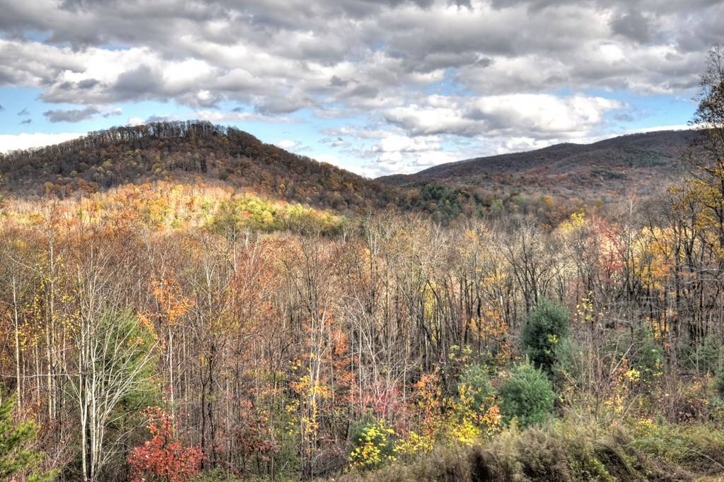 Cherry Log, GA 30522,258 Forest Ridge Drive