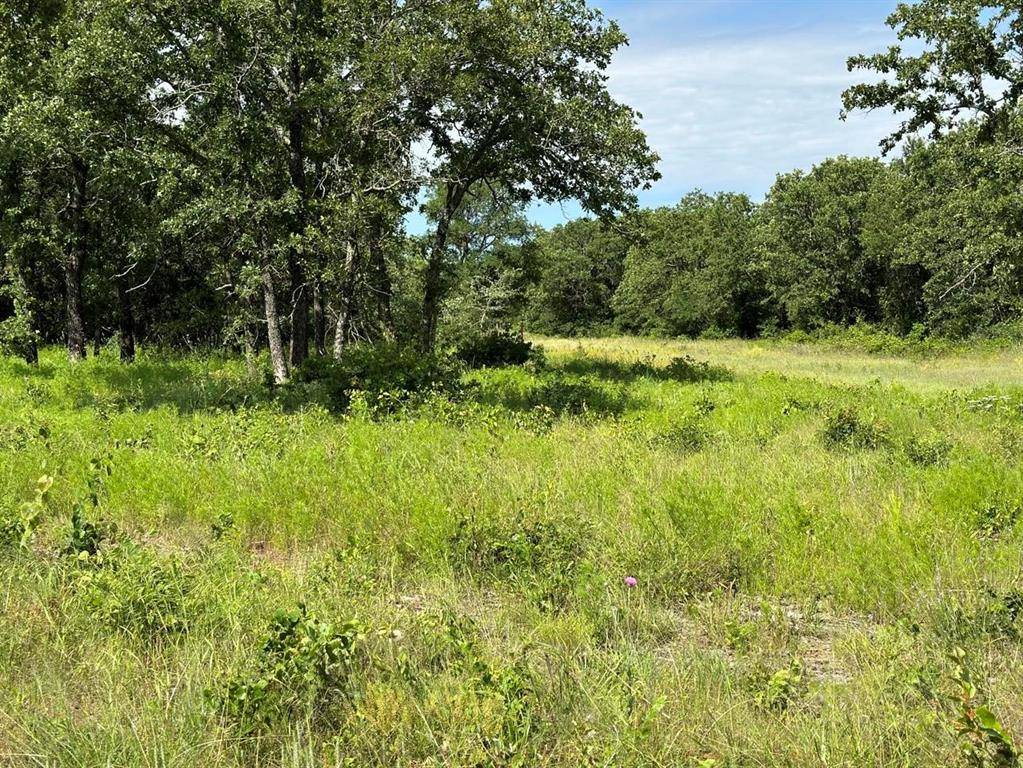 Perrin, TX 76486,Lot 79 Paradise Oaks