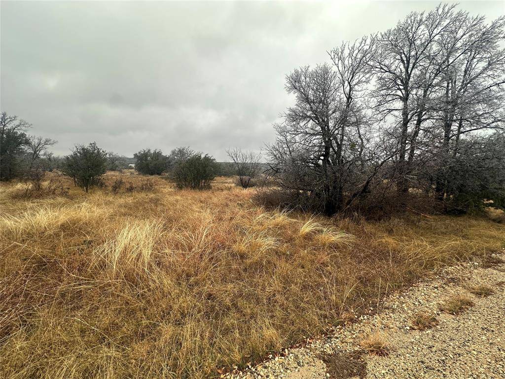 Brownwood, TX 76801,TBD lot 22 Oak Ridge Loop