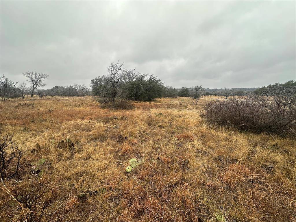 Brownwood, TX 76801,TBD lot 22 Oak Ridge Loop