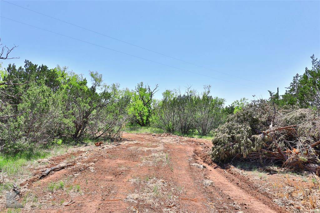 Ovalo, TX 79541,TBD CR 207