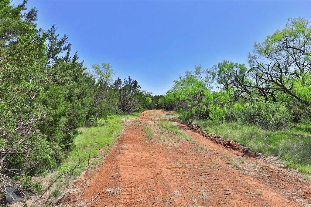 Ovalo, TX 79541,TBD CR 207