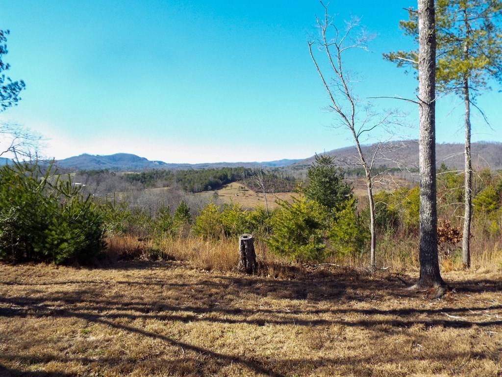 Murphy, NC 28906,TBD Deer Haven Trail