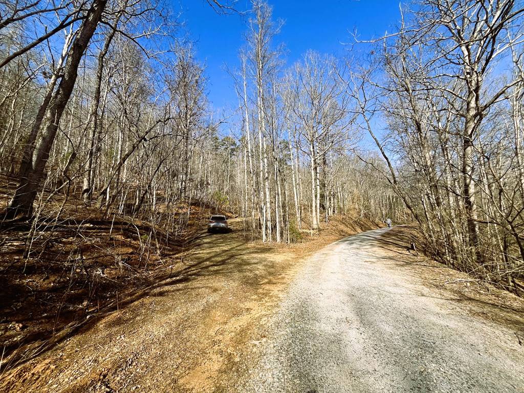 Hayesville, NC 28904,00 Nelson Ridge